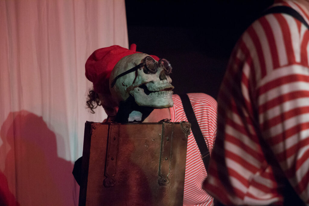 Alina-animation-spettacoli-teatrali-20